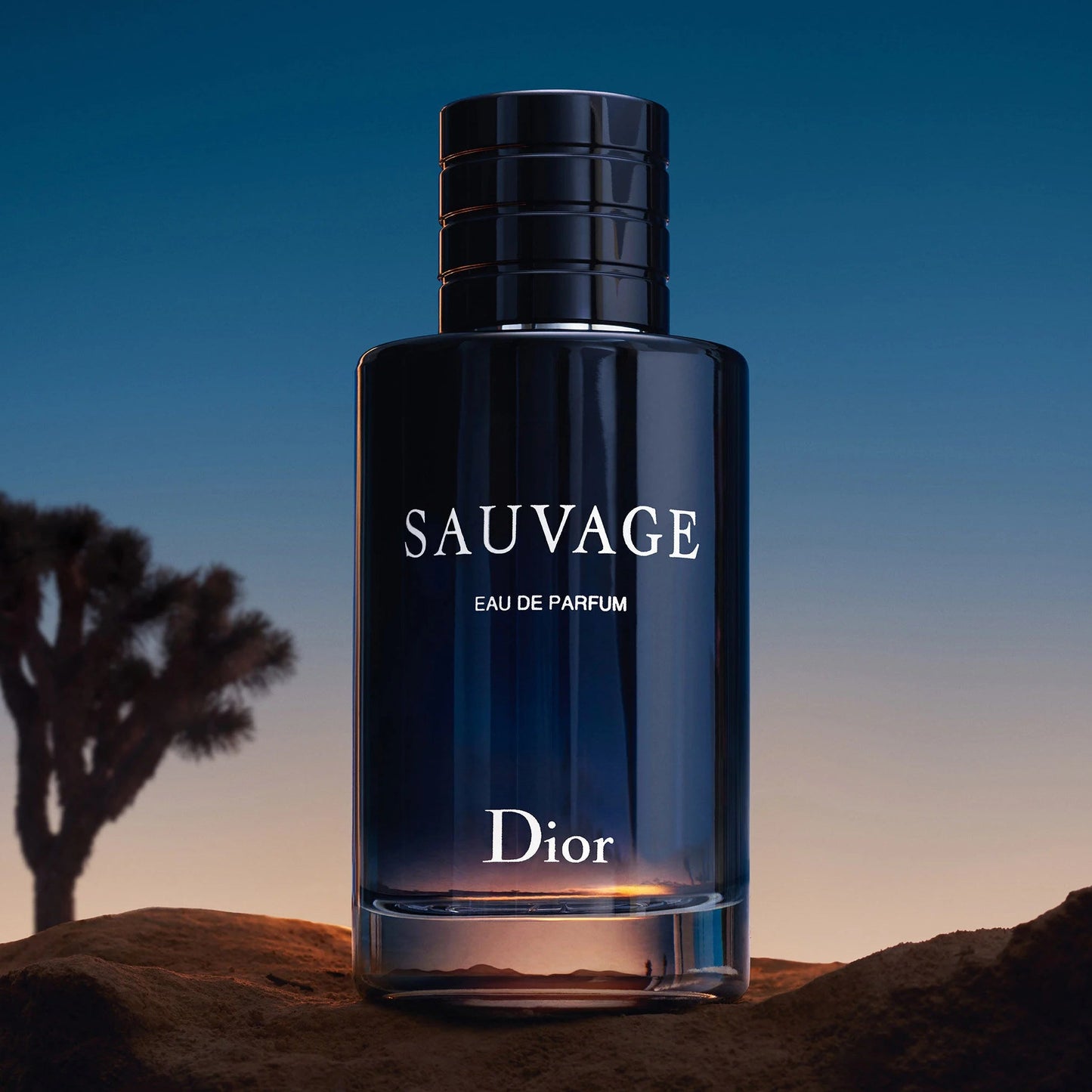 Sauvage Eau de Parfum 100 ml